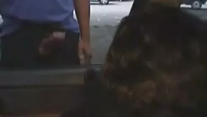 اس کے منہ میں دو عضو فیلم سکطی ایرانی تناسل کے ساتھ۔