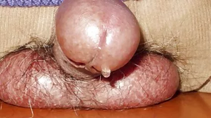 کبوتر جذبات دکھانے میں شرم محسوس نہیں فیلم سکسی ایرانی خشن کرتے۔