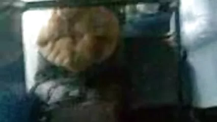 میکس اپنا لنڈ جینیفر کی کلیپ سکسی زنان ایرانی اندام نہانی کے گرد گھومتا ہے۔