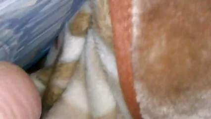 منہ پر گدا